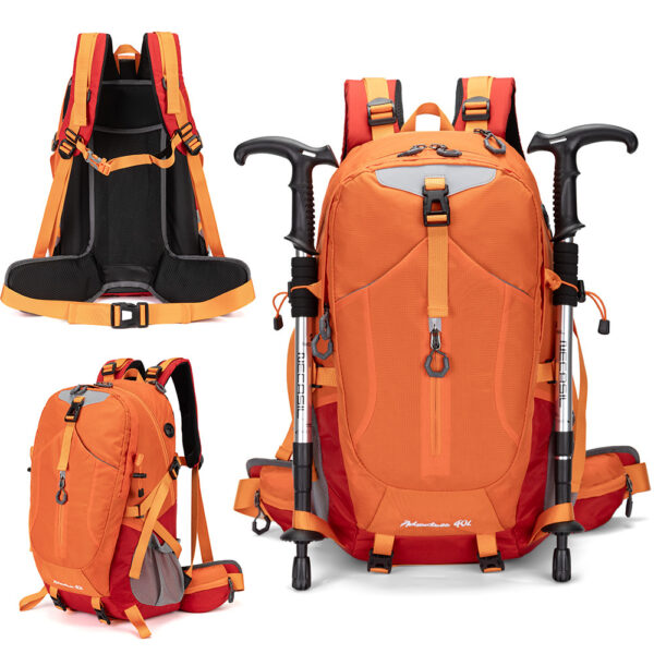 Large Capacity 50L Hiking Camping Backpack with Rain Cover
