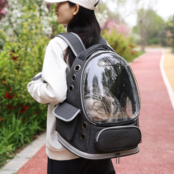 Airline-Approved Pet Carrier Backpack with Ventilation Holes