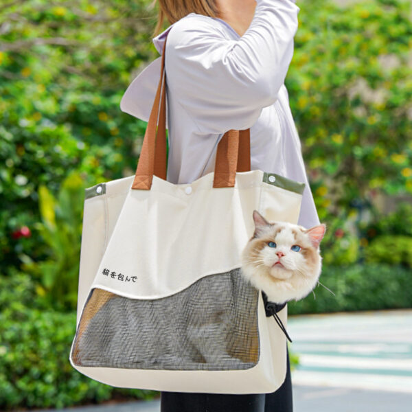 Expandable Pet Travel Backpack with Bubble Window 2-in-1 Carrier