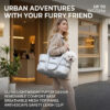 pet-multi-functional-pet-travel-ba-0 Multi-Functional Pet Travel Backpack with Built-In Food Container