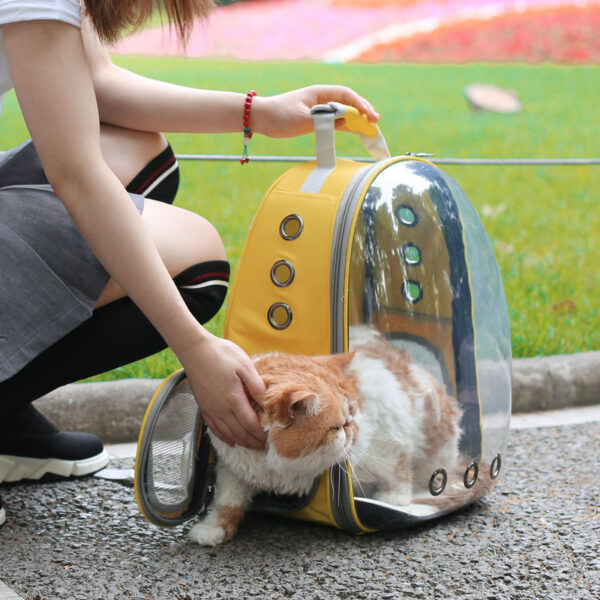Rolling Pet Carrier Backpack with Wheels Convertible Travel Bag