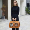 Ventilated Cat Backpack Carrier Space Capsule Design for Small Pets