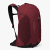 登山包3产品展示图L Burgundy custom hiking backpack with breathable back support