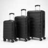 Custom PP hard shell spinner luggage set in matte black