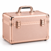 Custom Aluminum Makeup Train Case with Lockable Latches